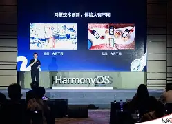 开云体育网站-赛地聚焦——德甲窗口期热度飙升，达拉斯独行侠迎来里程碑，引发热议，轮换策略成焦点